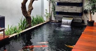 Kolam Ikan Mini yang Hemat Ruang