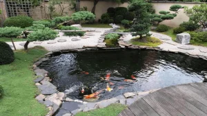 Kolam Ikan Bergaya Jepang