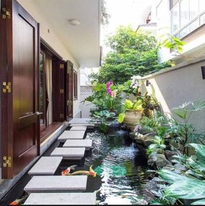 Kolam Ikan di Sela Pinggiran Rumah